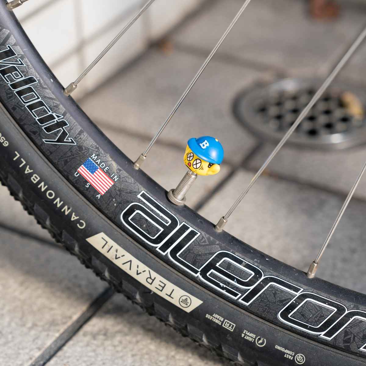 BLUE LUG anzenkun valve cap